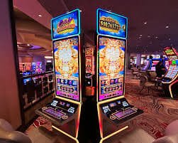 VIP-style status guidance encouraging calm r77 bet account decisions